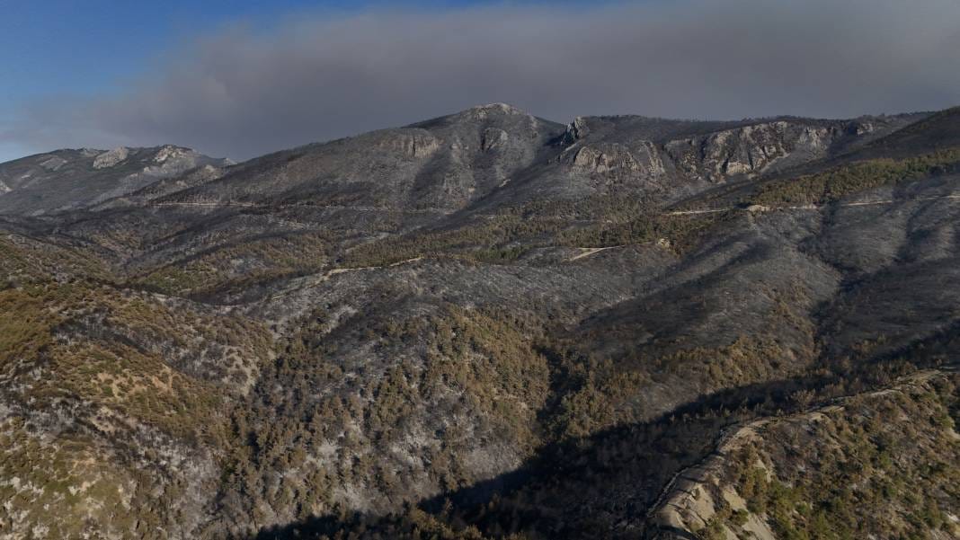 Sakarya'da yürek acıtan görüntüler: Yangının bıraktığı hasar ortaya çıktı 1